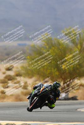 media/Apr-10-2022-SoCal Trackdays (Sun) [[f104b12566]]/Turn 5 Tree of Life (1040am)/